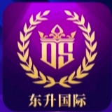 东升国际